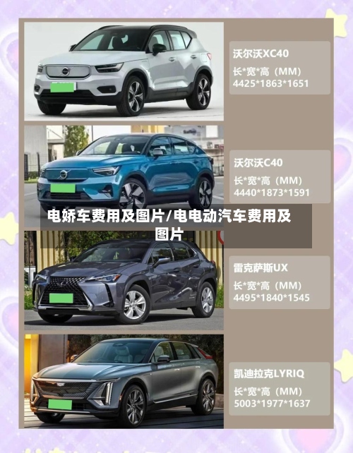电娇车费用及图片/电电动汽车费用及图片