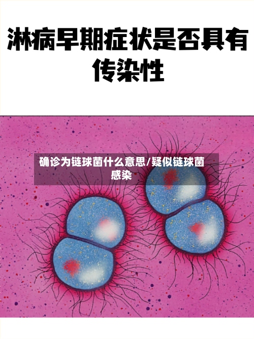 确诊为链球菌什么意思/疑似链球菌感染-第2张图片