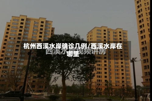 杭州西溪水岸确诊几例/西溪水岸在哪里