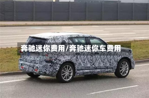 奔驰迷你费用/奔驰迷你车费用