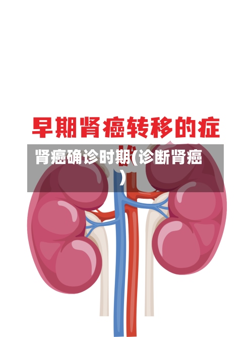肾癌确诊时期(诊断肾癌)