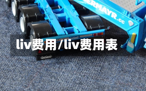 liv费用/liv费用表