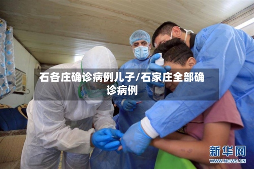 石各庄确诊病例儿子/石家庄全部确诊病例