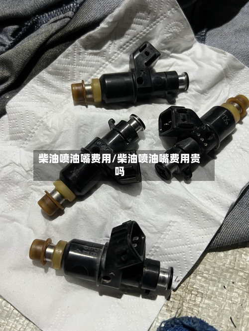 柴油喷油嘴费用/柴油喷油嘴费用贵吗-第2张图片