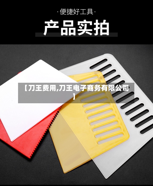 【刀王费用,刀王电子商务有限公司】-第2张图片