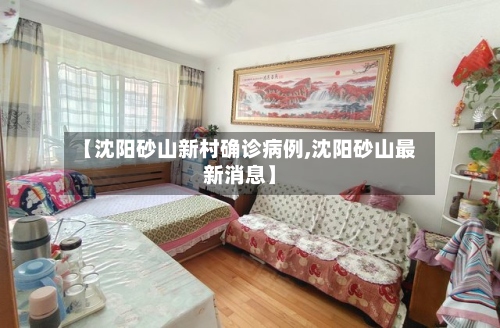 【沈阳砂山新村确诊病例,沈阳砂山最新消息】-第3张图片