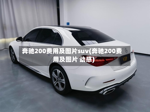 奔驰200费用及图片suv(奔驰200费用及图片 动感)