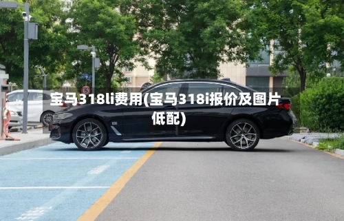 宝马318li费用(宝马318i报价及图片低配)-第2张图片