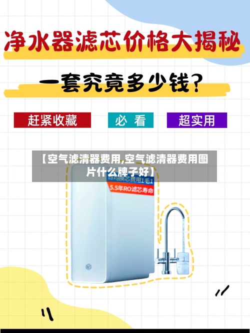 【空气滤清器费用,空气滤清器费用图片什么牌子好】
