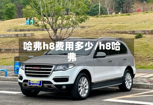 哈弗h8费用多少/h8哈弗-第2张图片