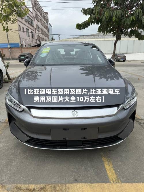 【比亚迪电车费用及图片,比亚迪电车费用及图片大全10万左右】-第2张图片