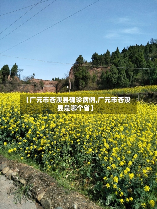 【广元市苍溪县确诊病例,广元市苍溪县是哪个省】