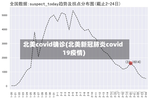 北美covid确诊(北美新冠肺炎covid19疫情)-第2张图片