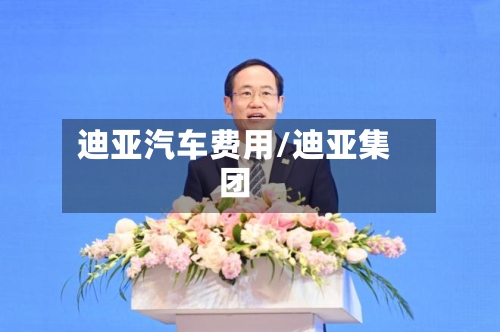 迪亚汽车费用/迪亚集团