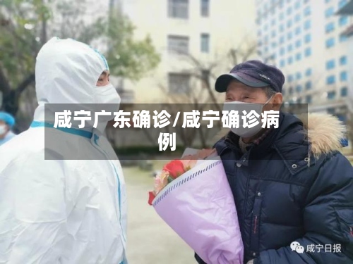 咸宁广东确诊/咸宁确诊病例