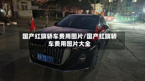 国产红旗轿车费用图片/国产红旗轿车费用图片大全