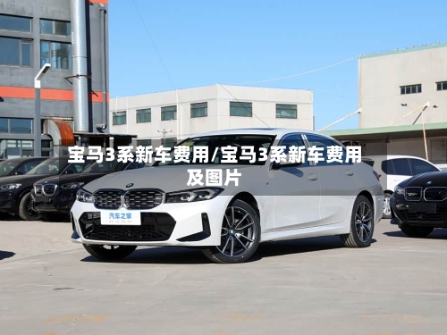 宝马3系新车费用/宝马3系新车费用及图片-第2张图片
