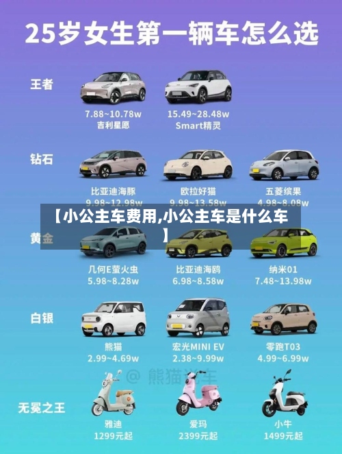 【小公主车费用,小公主车是什么车】-第2张图片