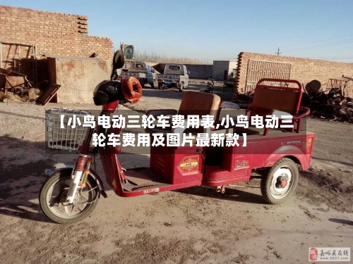 【小鸟电动三轮车费用表,小鸟电动三轮车费用及图片最新款】