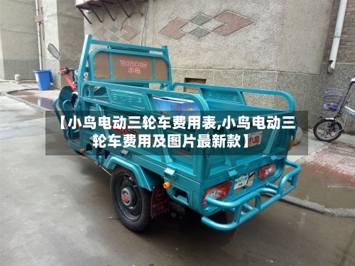 【小鸟电动三轮车费用表,小鸟电动三轮车费用及图片最新款】-第2张图片