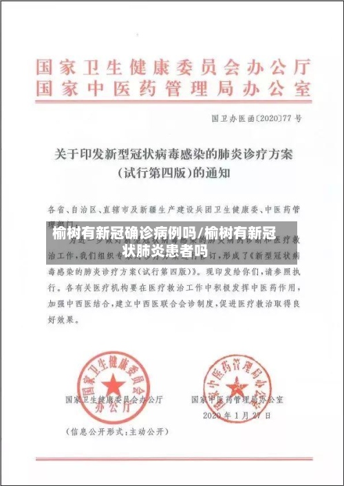 榆树有新冠确诊病例吗/榆树有新冠状肺炎患者吗-第2张图片