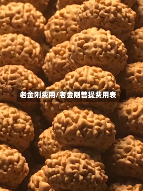 老金刚费用/老金刚菩提费用表