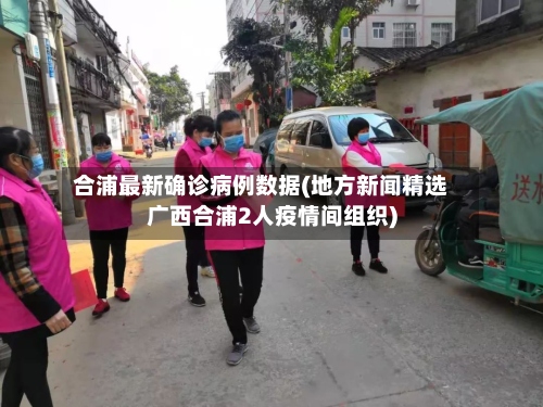 合浦最新确诊病例数据(地方新闻精选 广西合浦2人疫情间组织)-第3张图片