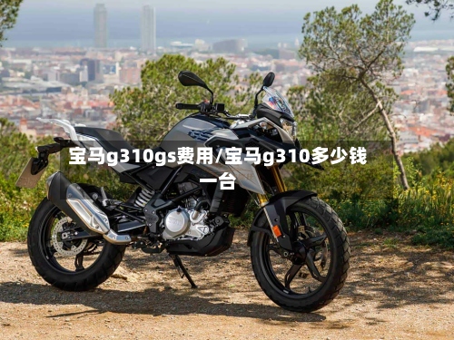 宝马g310gs费用/宝马g310多少钱一台-第2张图片