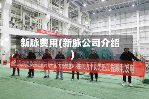 新脉费用(新脉公司介绍)