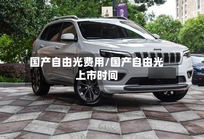 国产自由光费用/国产自由光上市时间-第3张图片