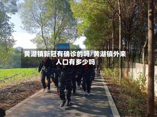黄湖镇新冠有确诊的吗/黄湖镇外来人口有多少吗-第3张图片