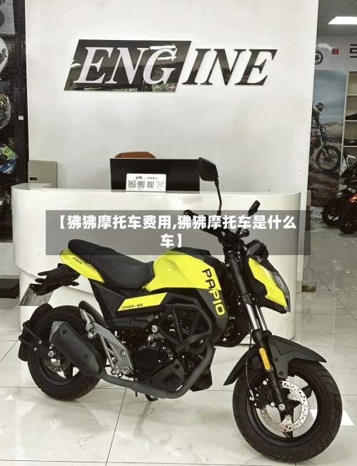 【狒狒摩托车费用,狒狒摩托车是什么车】