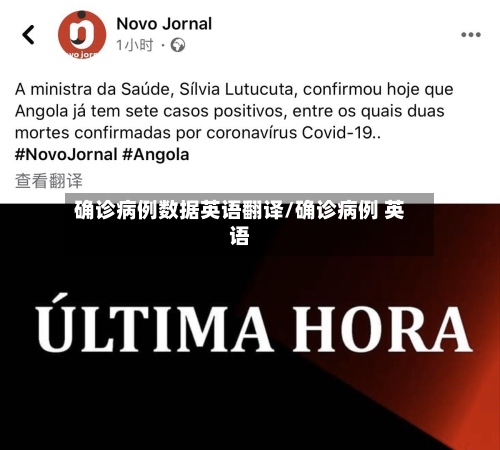 确诊病例数据英语翻译/确诊病例 英语