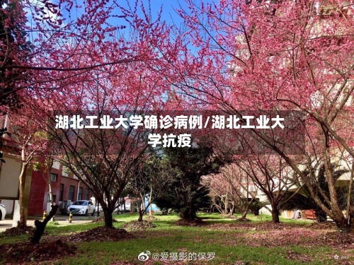 湖北工业大学确诊病例/湖北工业大学抗疫-第3张图片
