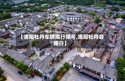 【洛阳牡丹车辆限行限号,洛阳牡丹会限行】