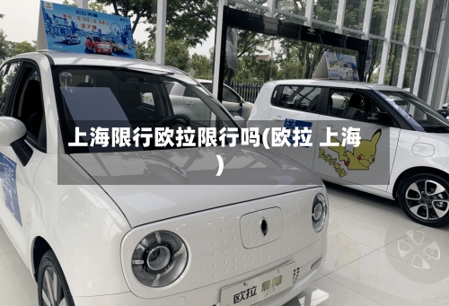 上海限行欧拉限行吗(欧拉 上海)