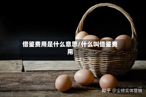 借鉴费用是什么意思/什么叫借鉴费用
