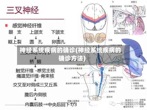 神经系统疾病的确诊(神经系统疾病的确诊方法)