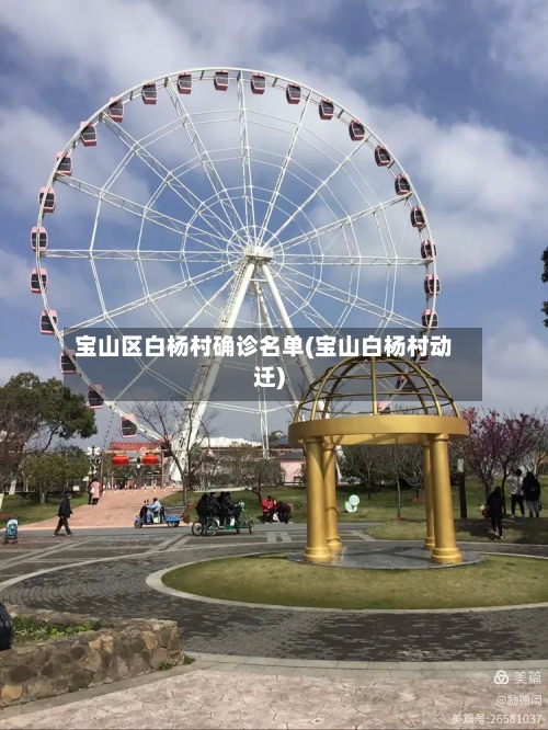 宝山区白杨村确诊名单(宝山白杨村动迁)