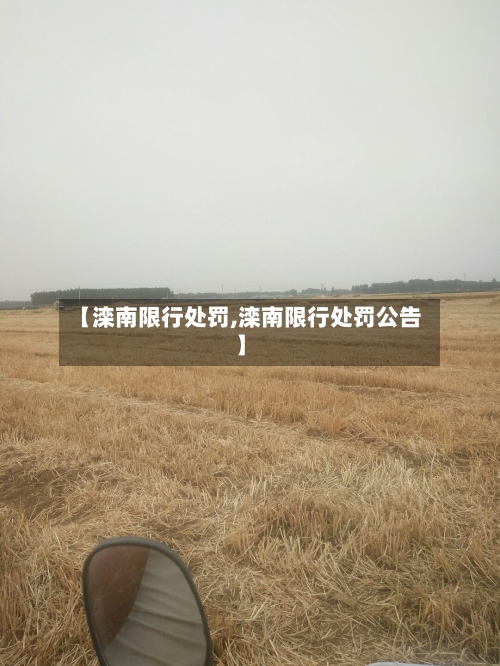 【滦南限行处罚,滦南限行处罚公告】-第2张图片