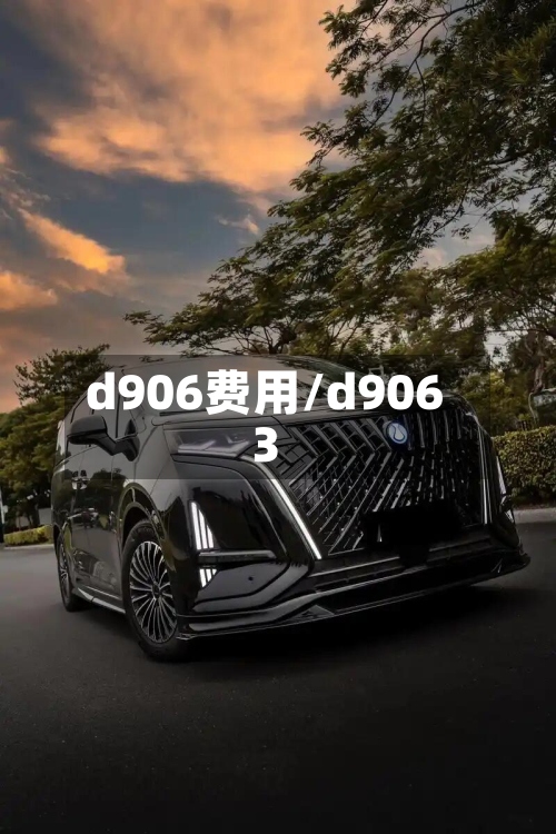 d906费用/d9063-第2张图片