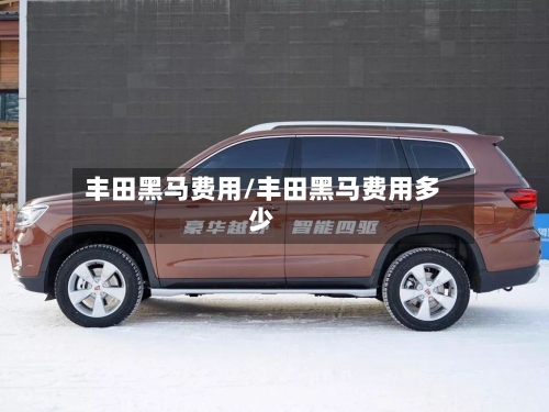 丰田黑马费用/丰田黑马费用多少-第2张图片