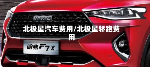 北极星汽车费用/北极星轿跑费用