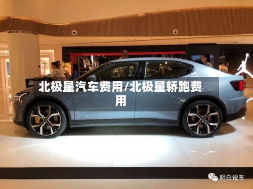 北极星汽车费用/北极星轿跑费用-第2张图片