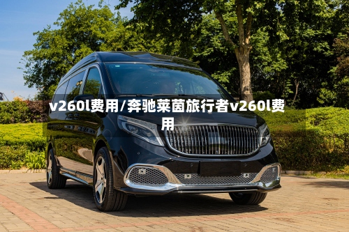v260l费用/奔驰莱茵旅行者v260l费用