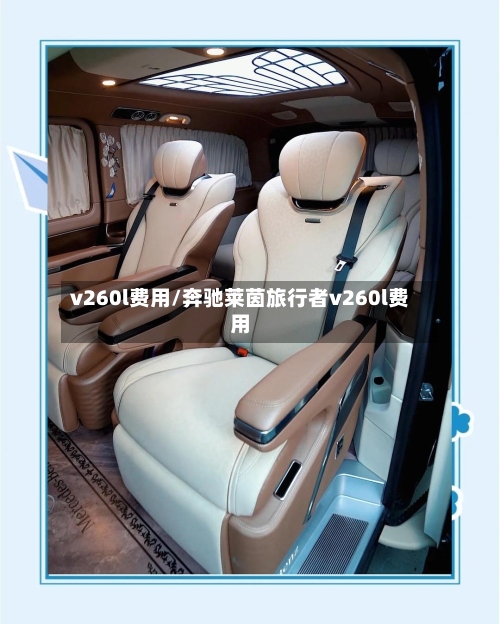 v260l费用/奔驰莱茵旅行者v260l费用-第3张图片