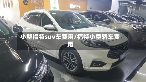 小型福特suv车费用/福特小型轿车费用