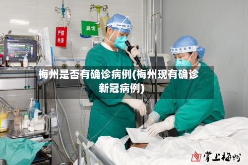 梅州是否有确诊病例(梅州现有确诊新冠病例)-第2张图片