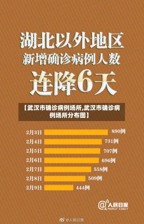 【武汉市确诊病例场所,武汉市确诊病例场所分布图】