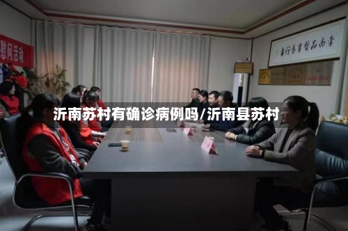 沂南苏村有确诊病例吗/沂南县苏村-第3张图片